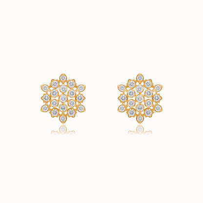 Tanvi Diamond Earring